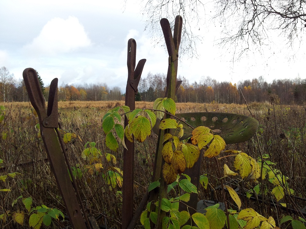 20121025_122516 b.jpg, 352.26 kb, 1000 x 750