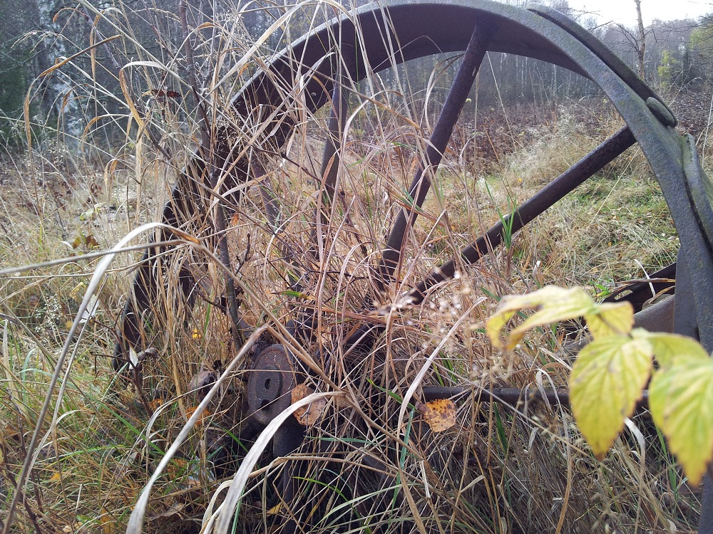 20121025_123257 b.jpg, 518.95 kb, 1000 x 750