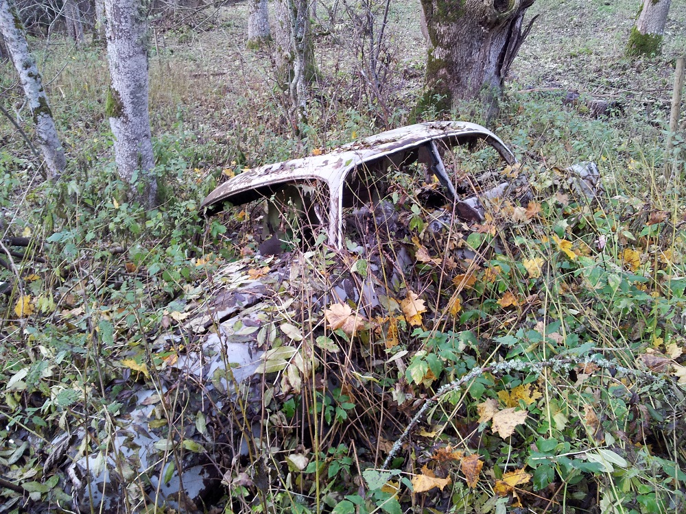 20121025_125347 b.jpg, 562.25 kb, 1000 x 750