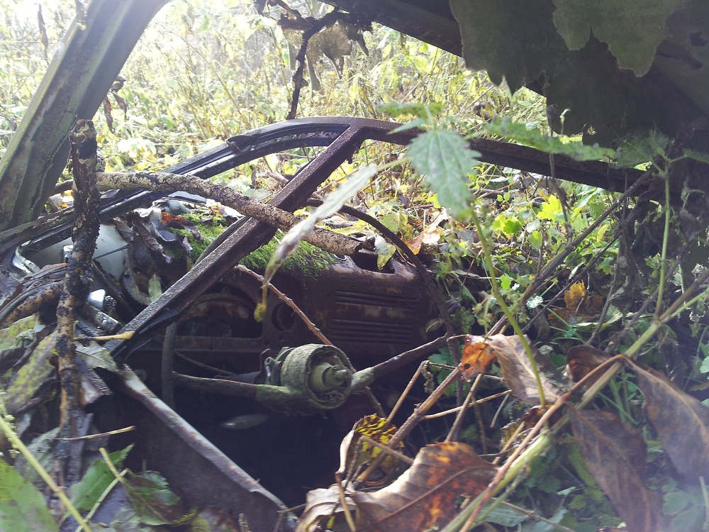 20121025_125602 b.jpg, 353.68 kb, 1000 x 750