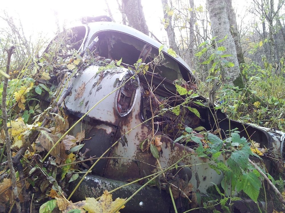 20121025_125828 b.jpg, 427.76 kb, 1000 x 750