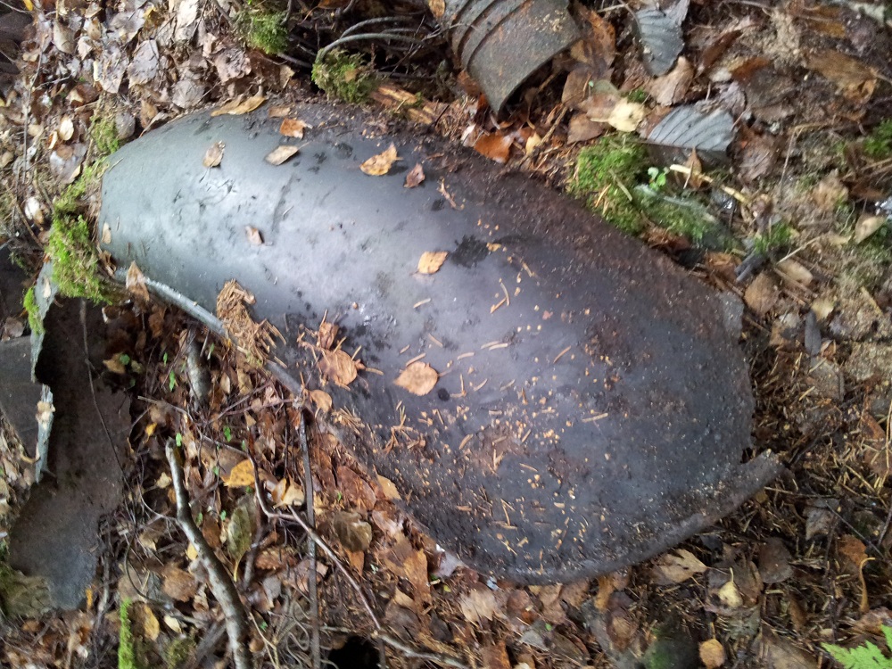 20121025_133416 b.jpg, 389.7 kb, 1000 x 750