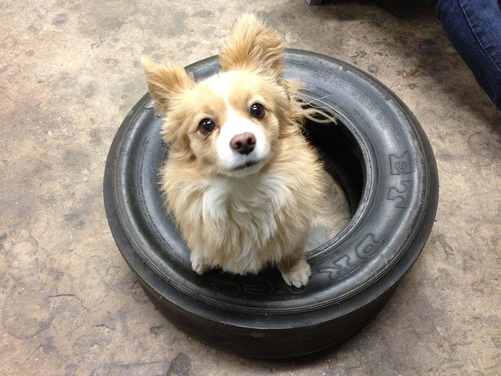 IMG_0583k.jpg, 132.4 kb, 980 x 735