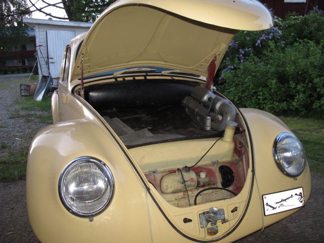 IMG_0505(2).jpg, 91.5 kb, 640 x 480