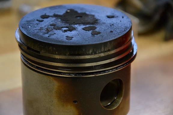 DSC_0713.JPG, 102.6 kb, 576 x 384