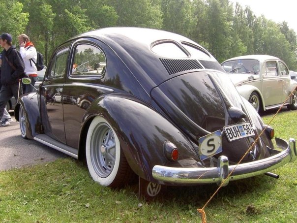 n683883738_1849833_6238586.jpg, 83.02 kb, 604 x 453