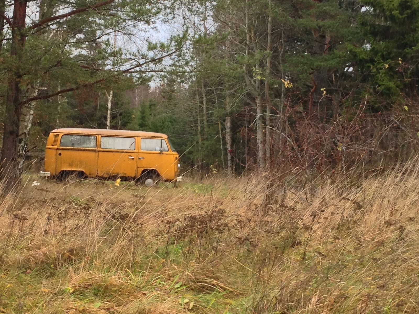 bild.JPG, 800.98 kb, 1600 x 1200