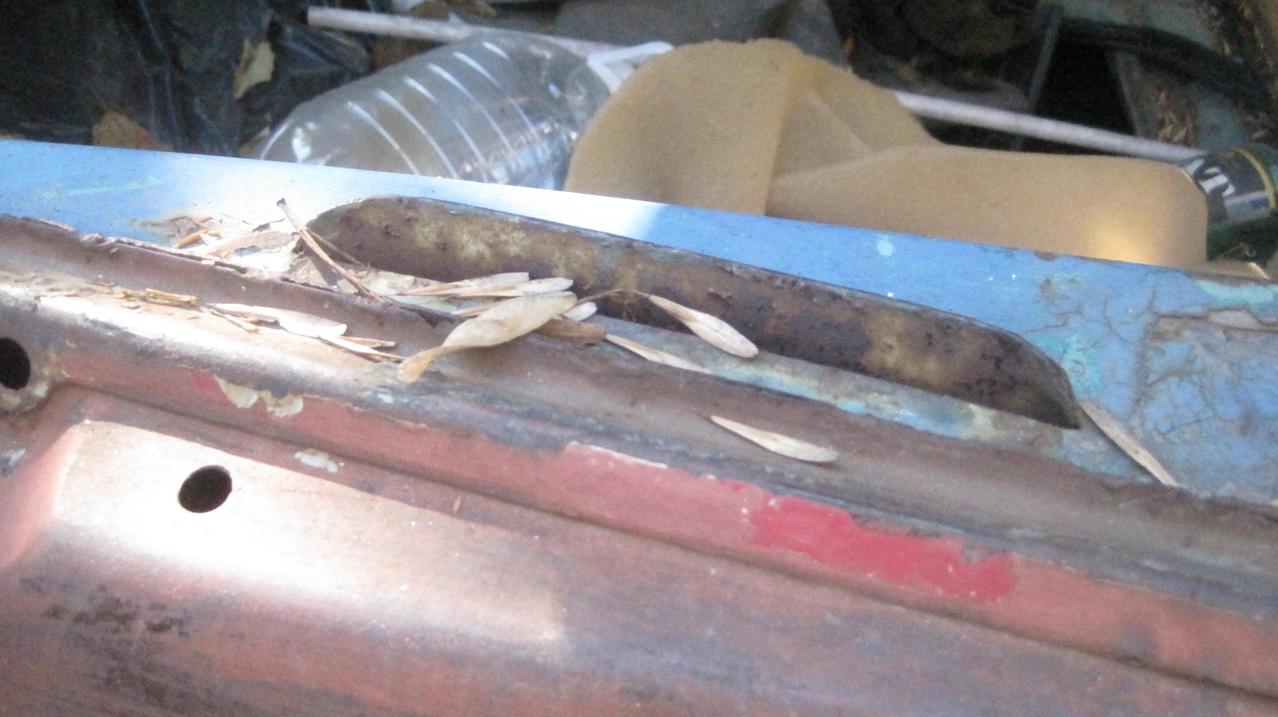 IMG_3735small.jpg, 649.39 kb, 1824 x 1024