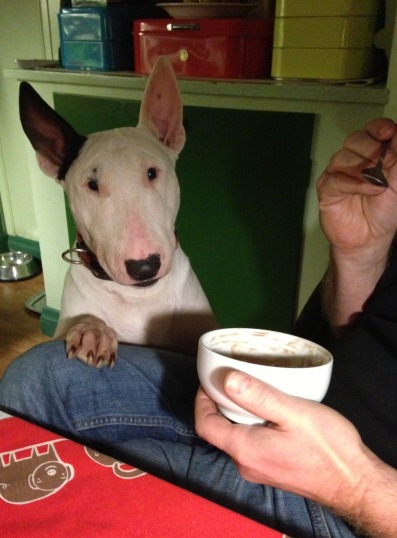 Pia1.jpg, 626.32 kb, 397 x 538