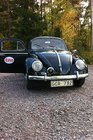 IMG_2519.PNG, 461.84 kb, 320 x 480