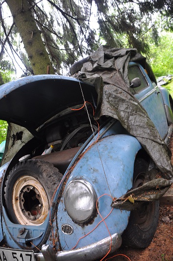 DSC_0162.JPG, 167.01 kb, 356 x 536