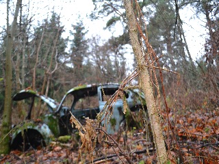 ss.jpg, 53.84 kb, 320 x 240