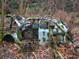 d.jpg, 62.33 kb, 320 x 240