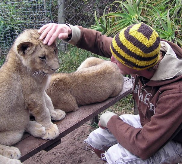 lion.jpg, 110.14 kb, 604 x 546