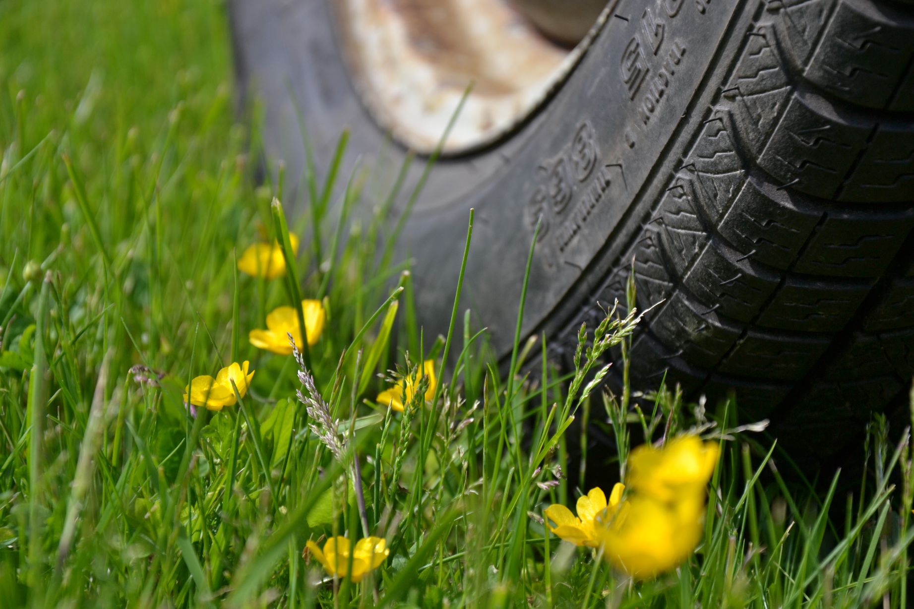 resized_DSC_0474.jpg, 268.42 kb, 1843 x 1228