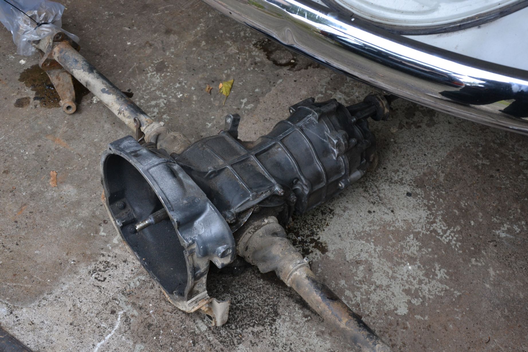 resized_DSC_0726.jpg, 378.8 kb, 1843 x 1228