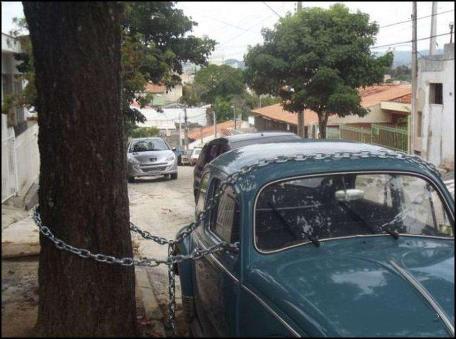 Beetle_Locking (BetterSafe_ThanSorry... [1024x768]wtmk.jpg, 157.75 kb, 900 x 670