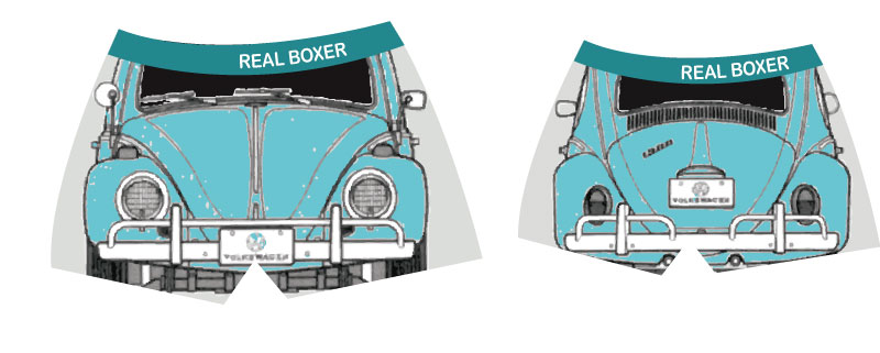 realboxer6.jpg, 48.45 kb, 800 x 321