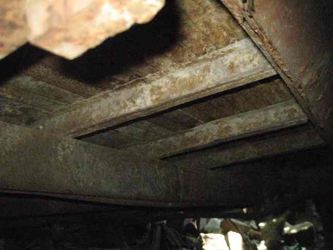 IMG_4241small.jpg, 27.53 kb, 648 x 486