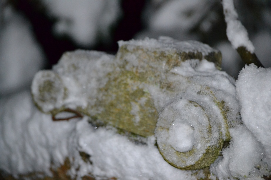 Rod fågelholk.jpg, 177.25 kb, 922 x 615