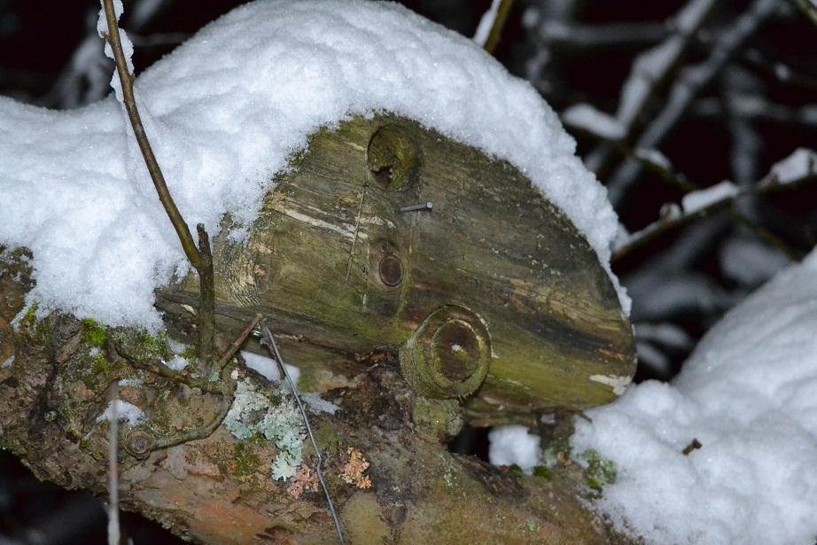 smv fågelholk.jpg, 252.2 kb, 922 x 615