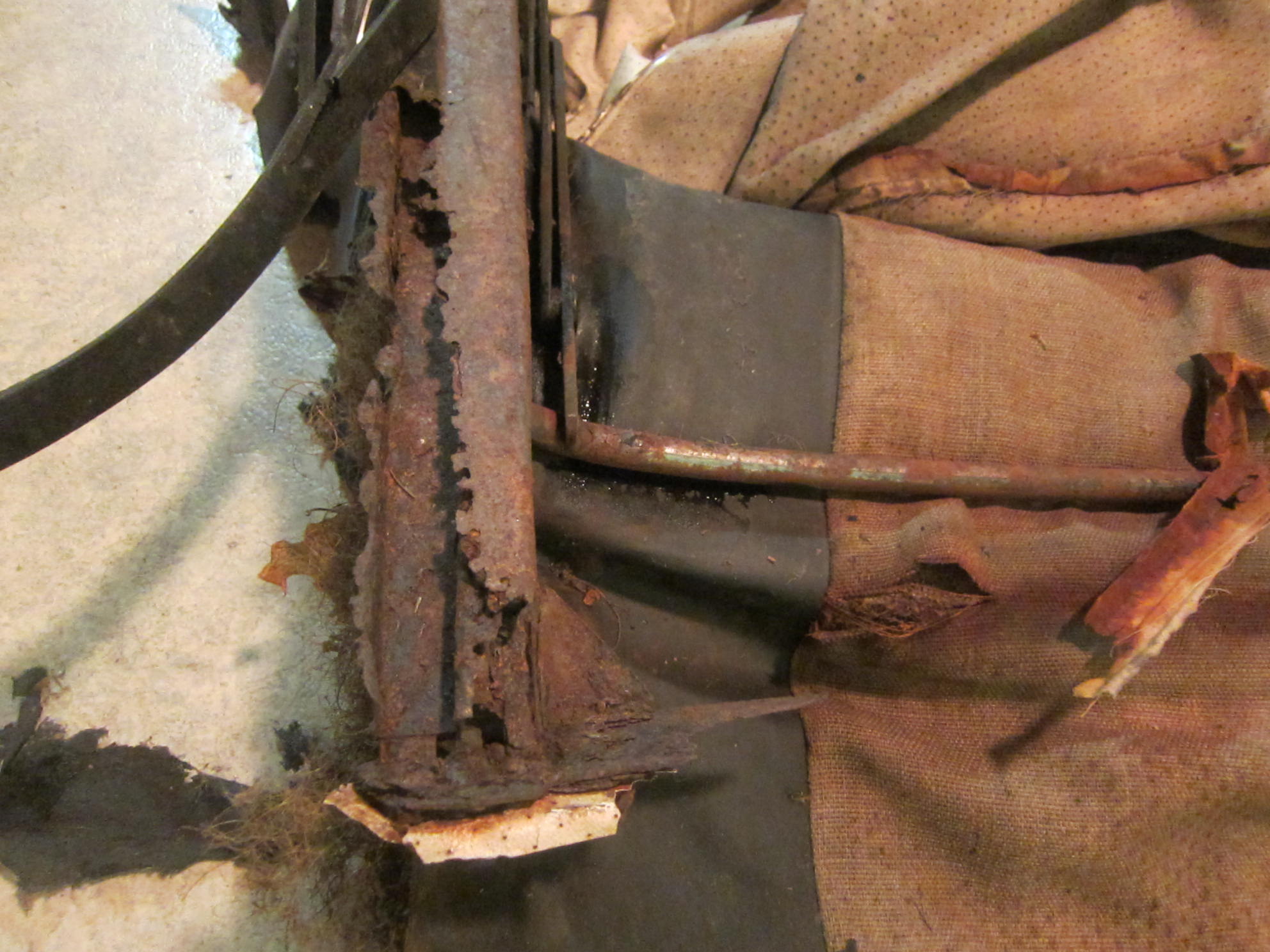 IMG_1076.JPG, 336.43 kb, 1984 x 1488