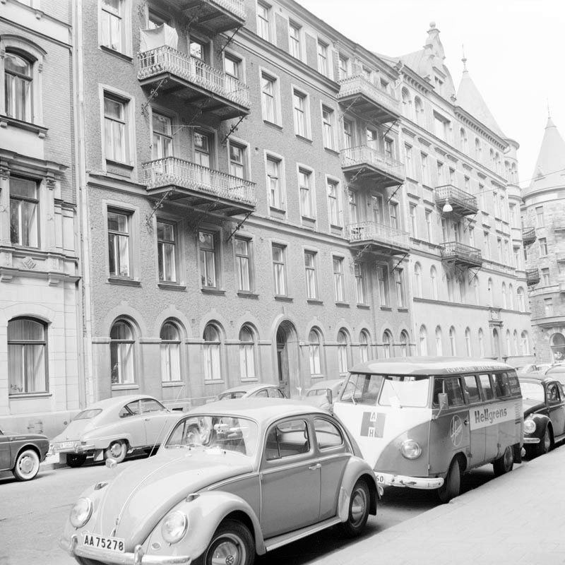 SSMFOE000819S.JPG, 168.74 kb, 800 x 800