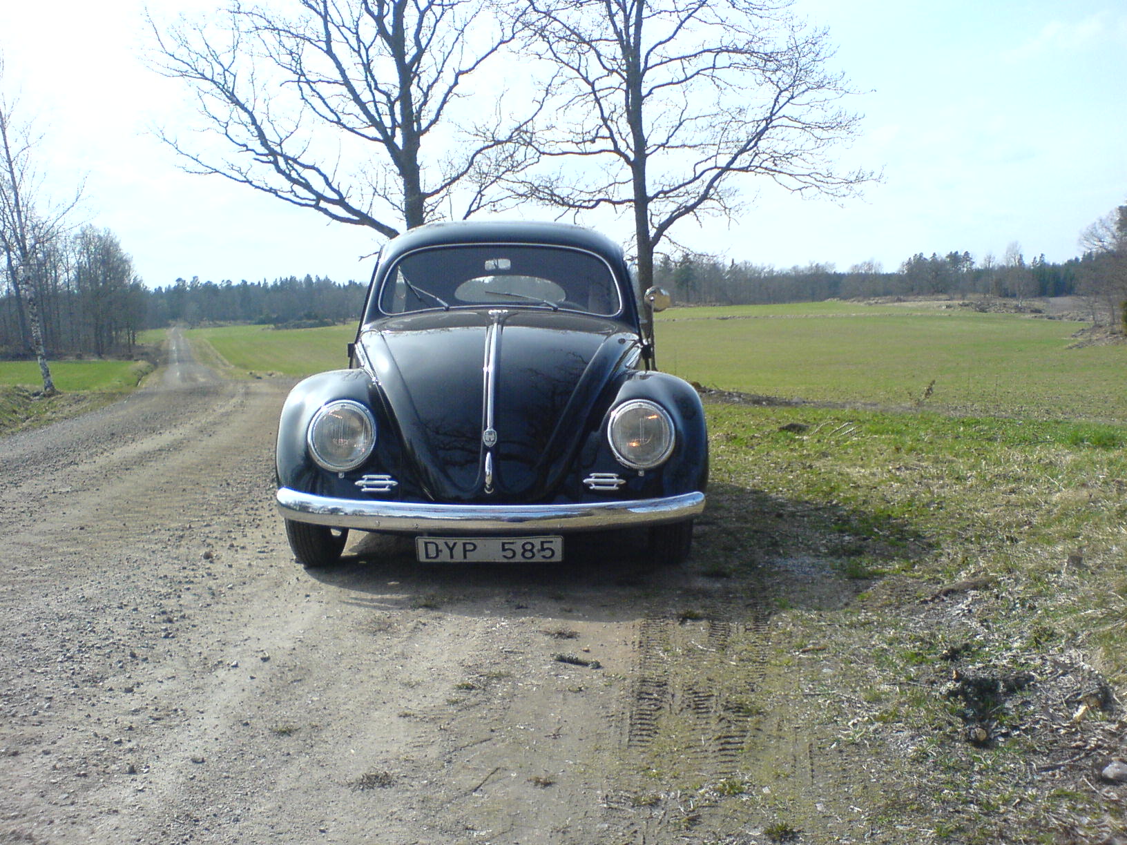 rfhbvj 009.JPG, 421.01 kb, 1632 x 1224