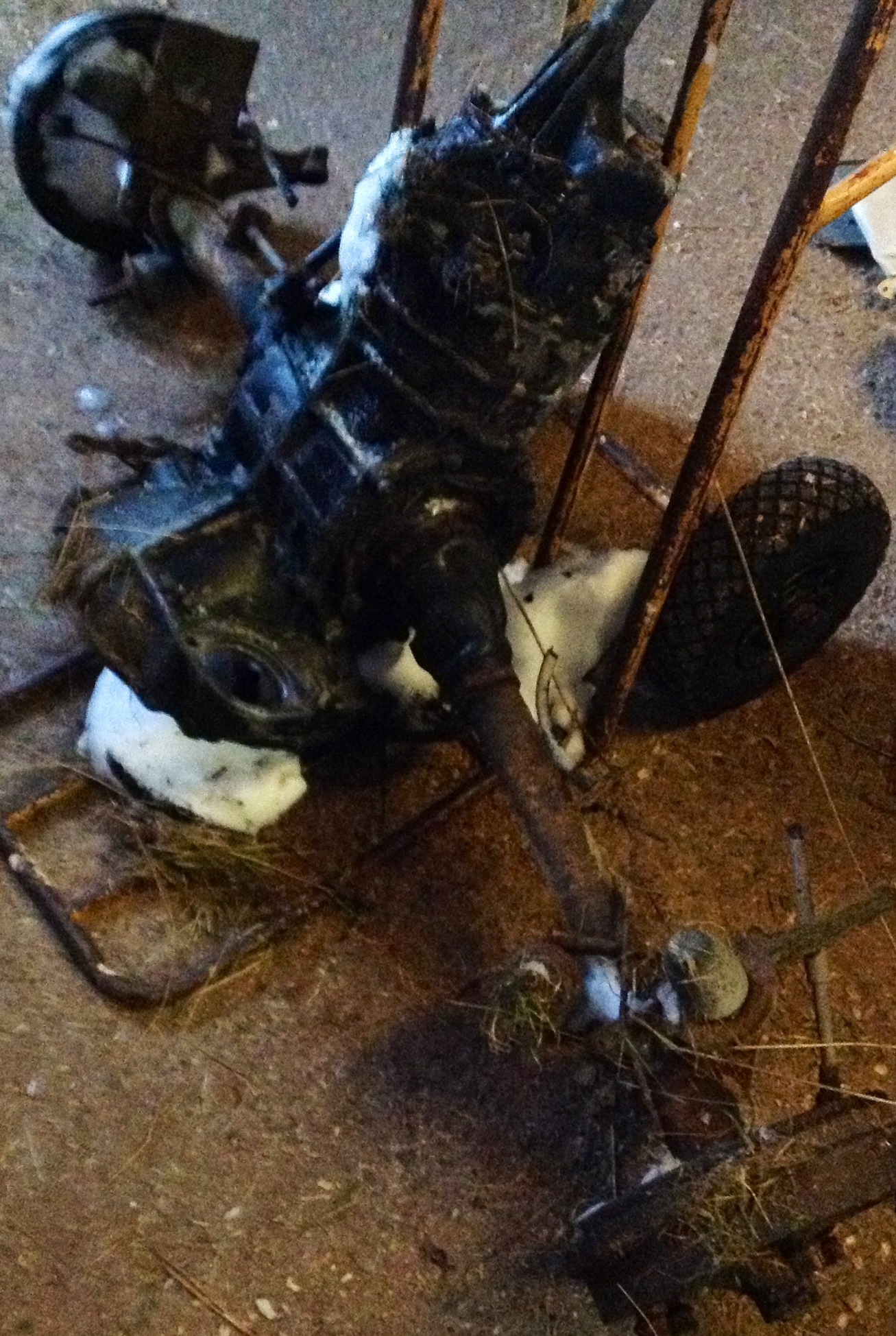 image.jpg, 855.44 kb, 1307 x 1948