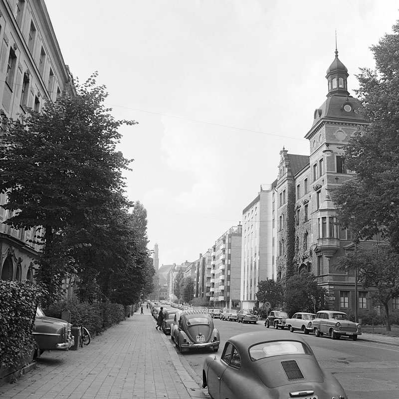 SSMFA039756S.JPG, 187.71 kb, 800 x 800