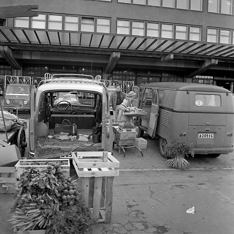 SSMF091940S.JPG, 202.44 kb, 800 x 799