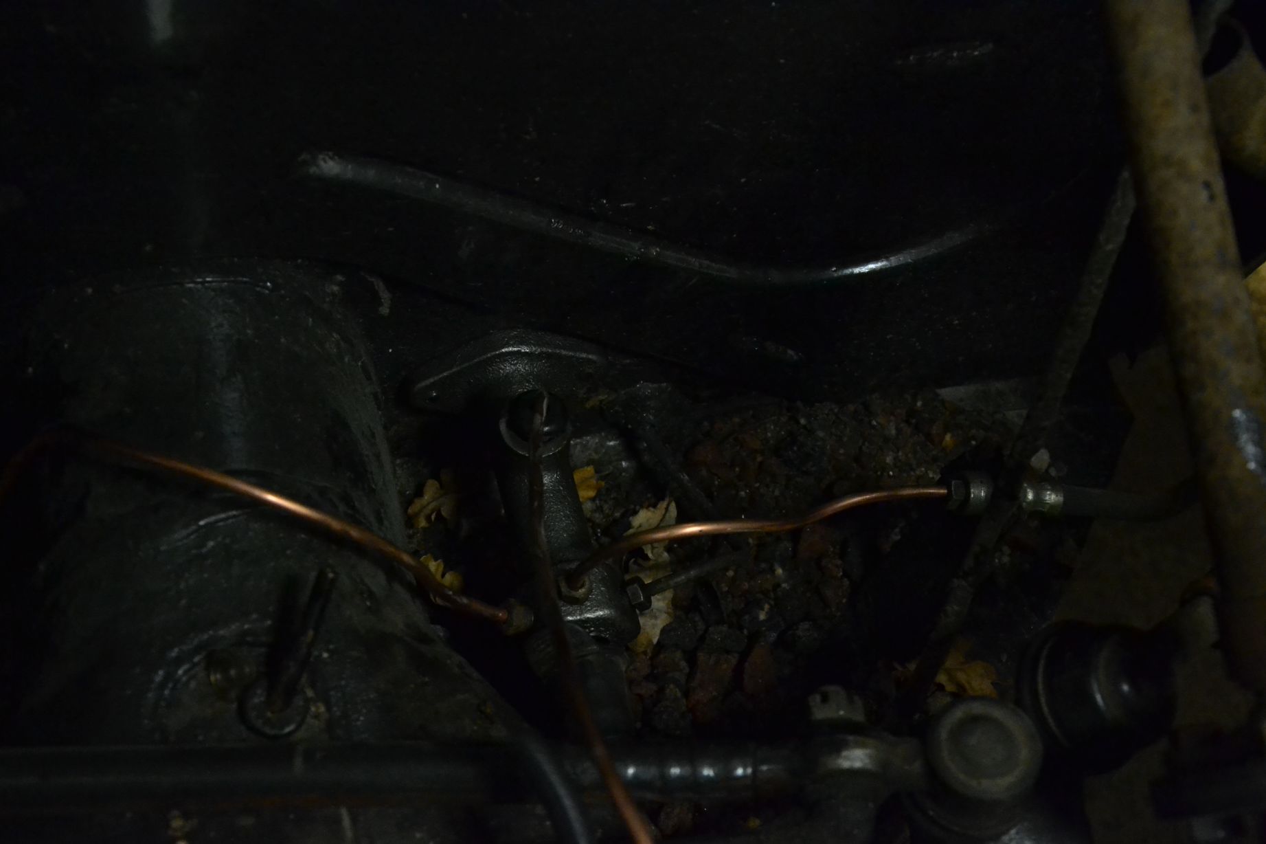 resized_DSC_0772.jpg, 123.08 kb, 1843 x 1228