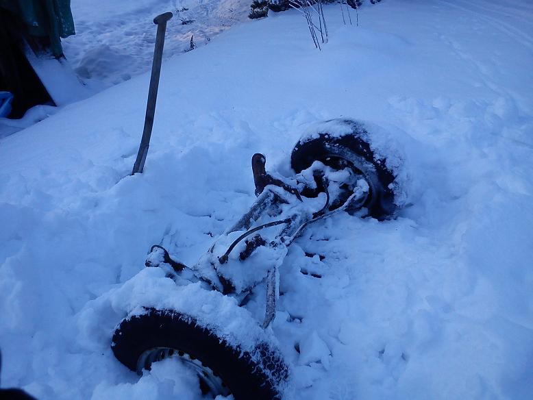 Pes1.jpg, 53.43 kb, 778 x 584