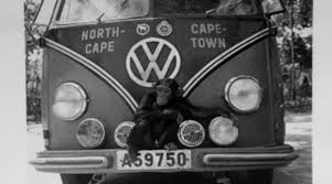 images.jpg, 8.32 kb, 301 x 167