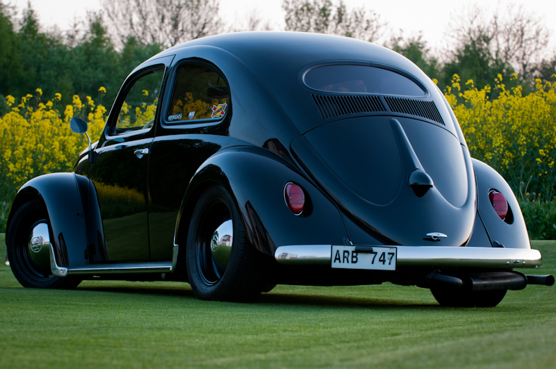 DSC1437.jpg, 411.7 kb, 800 x 531