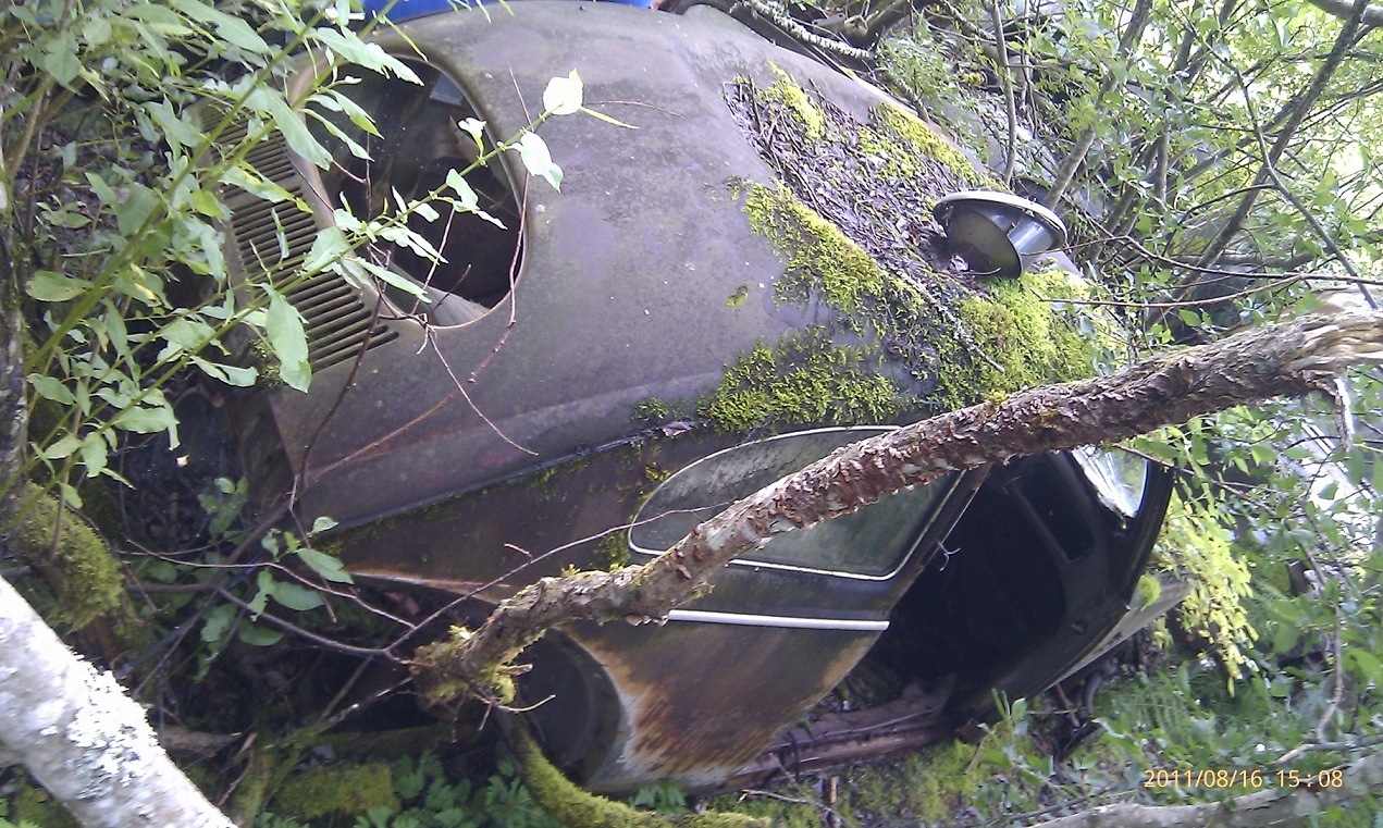 3.jpg, 864.31 kb, 1271 x 761