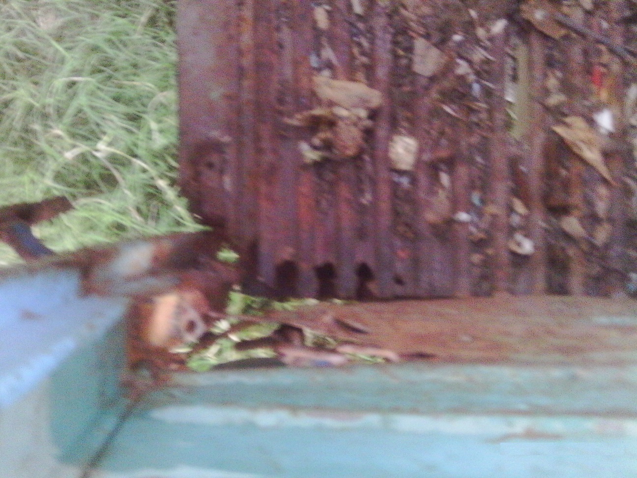 015.JPG, 530.33 kb, 1296 x 972