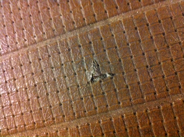 baysoffa2.JPG, 174.9 kb, 640 x 478