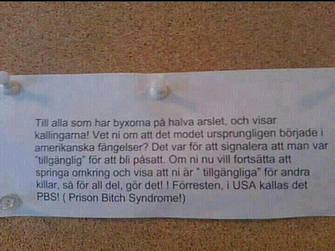 PBS.jpg, 29.62 kb, 480 x 360