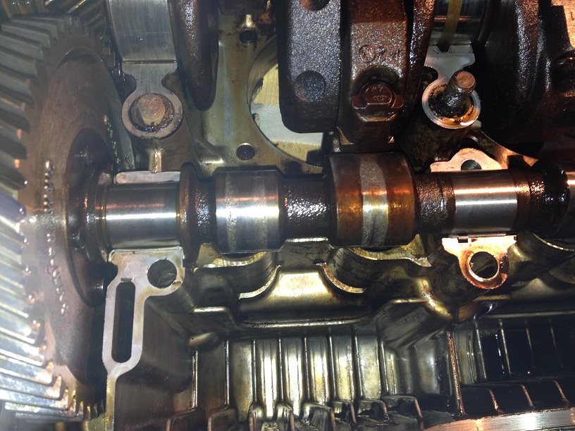 IMG_0834.JPG, 206.62 kb, 816 x 612