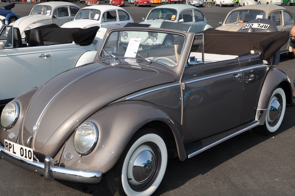 DSC_0473.jpg, 594.31 kb, 1024 x 680