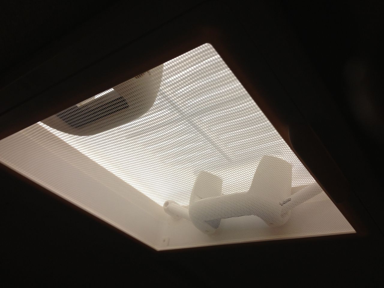 IMG_1254.jpg, 123.83 kb, 1280 x 960