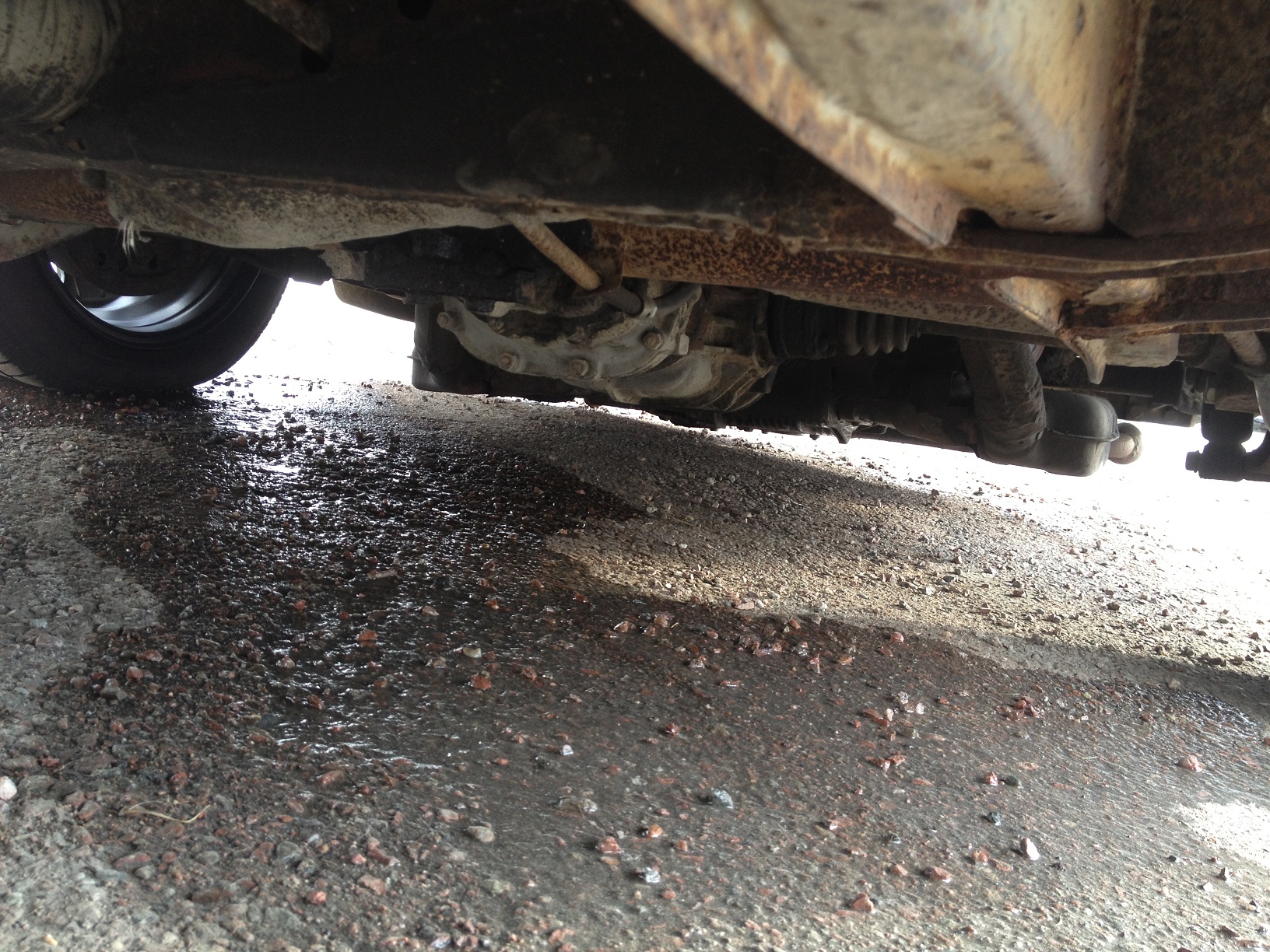 IMG_0748.JPG, 831.13 kb, 1632 x 1224