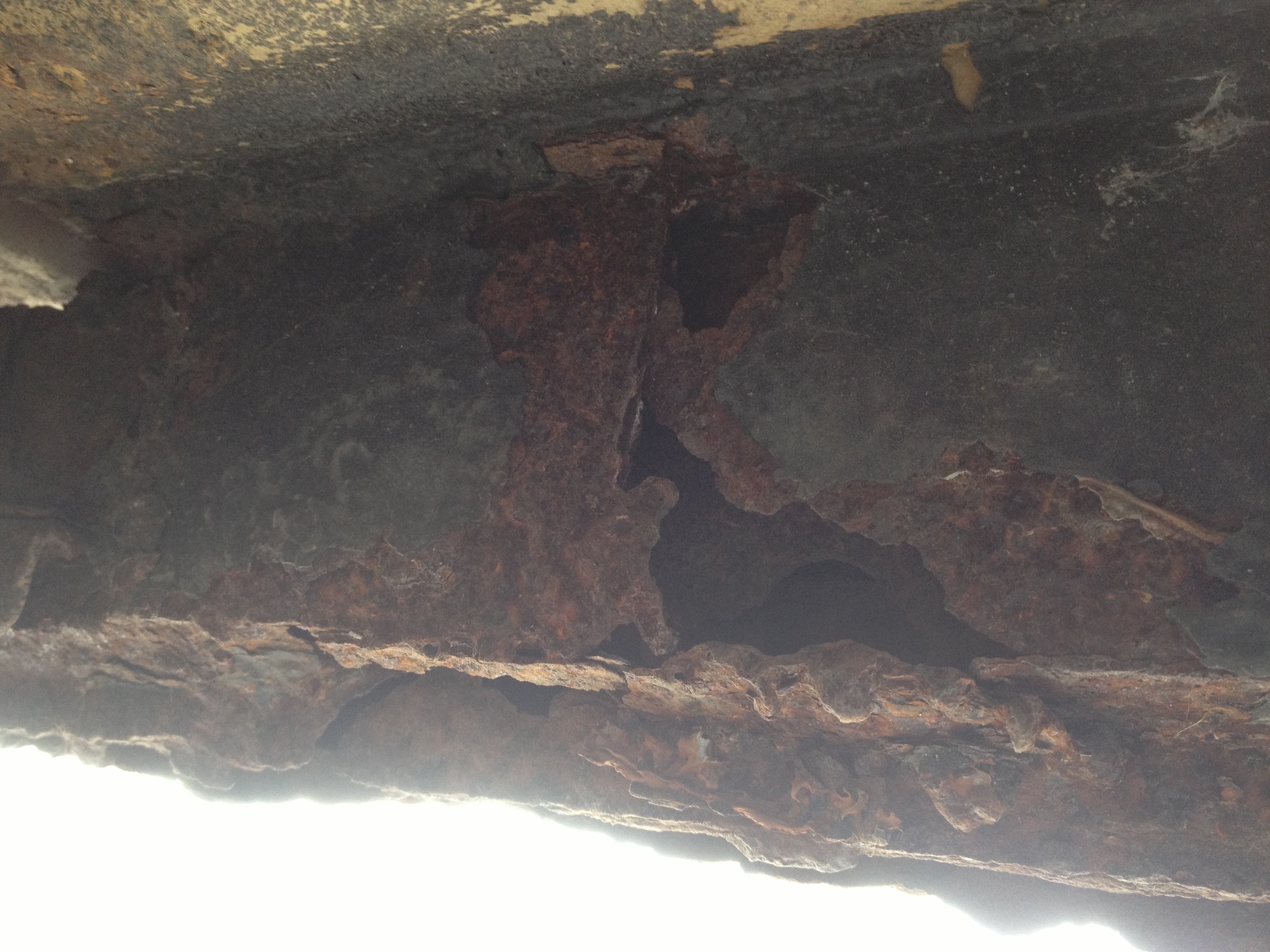 IMG_0747.JPG, 556.52 kb, 1632 x 1224