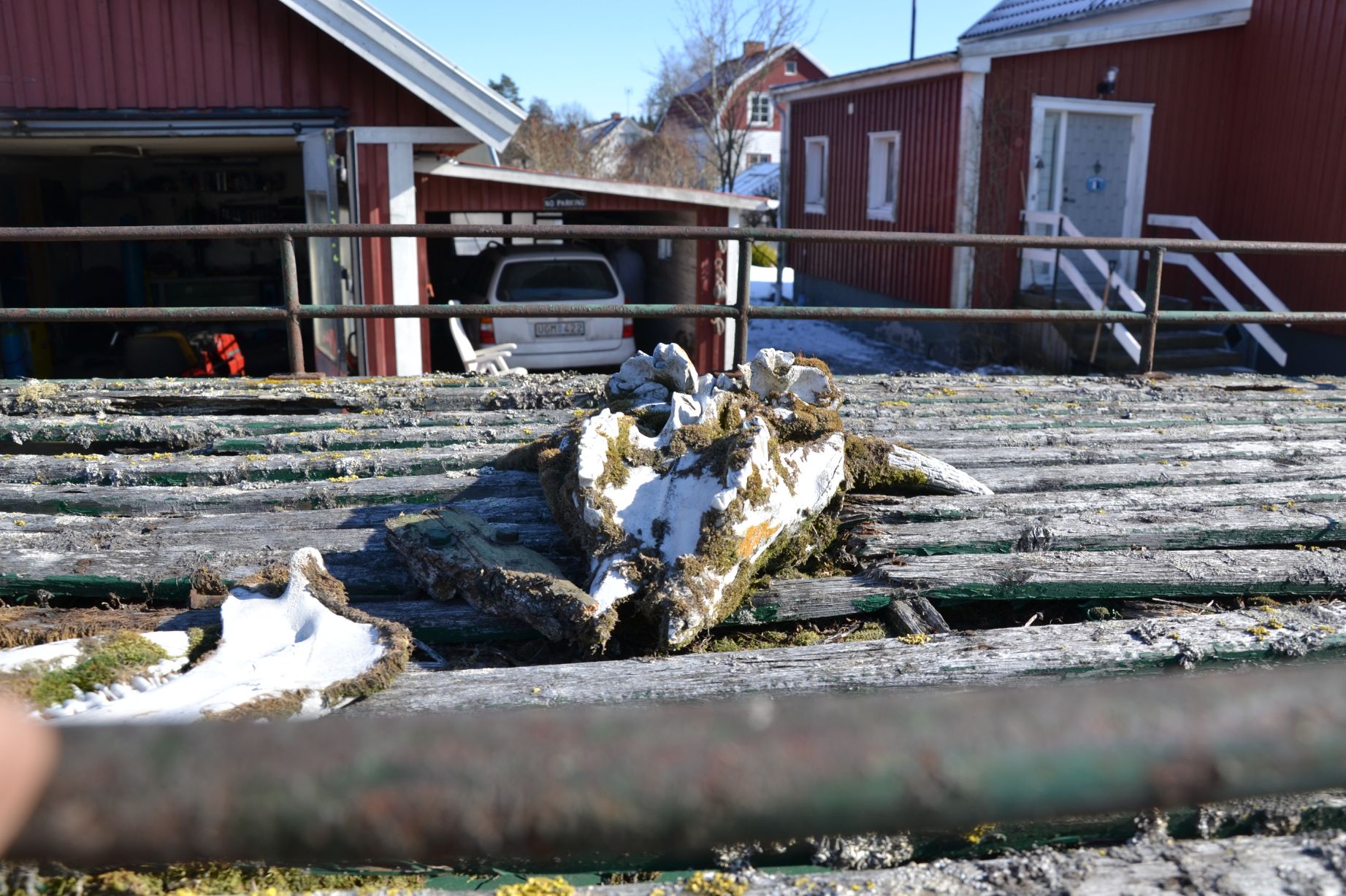 resized_DSC_0772.jpg, 392.48 kb, 1843 x 1228