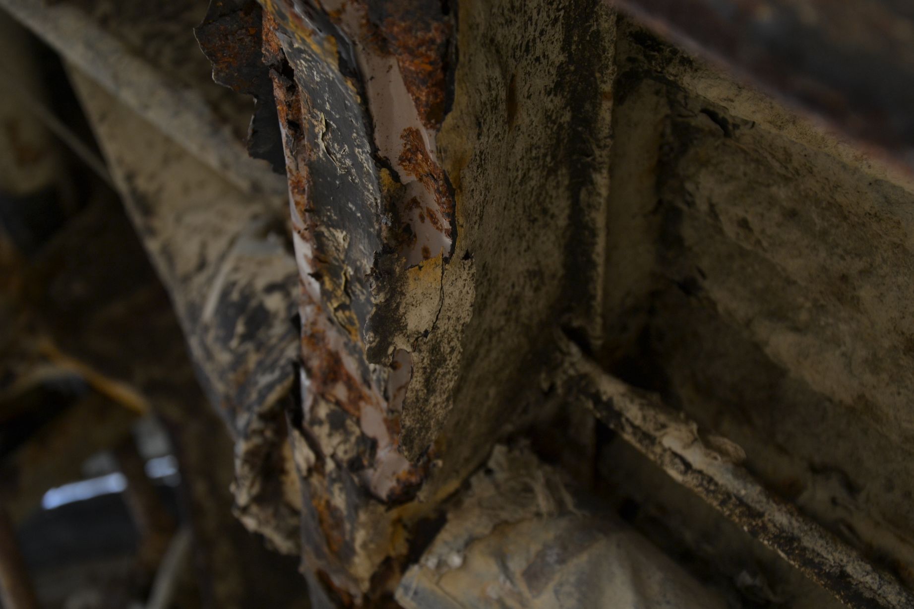 resized_DSC_0784.jpg, 185.99 kb, 1843 x 1228