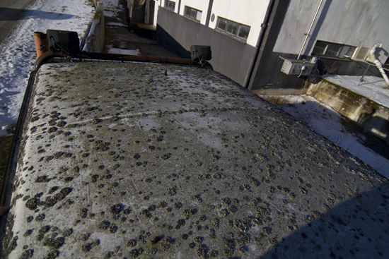 IMG_4855 copy.JPG, 261.08 kb, 550 x 367