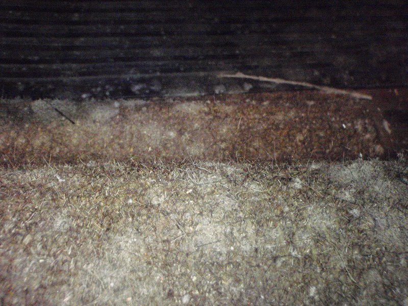 P9010004 [800x600].JPG, 161.33 kb, 800 x 600