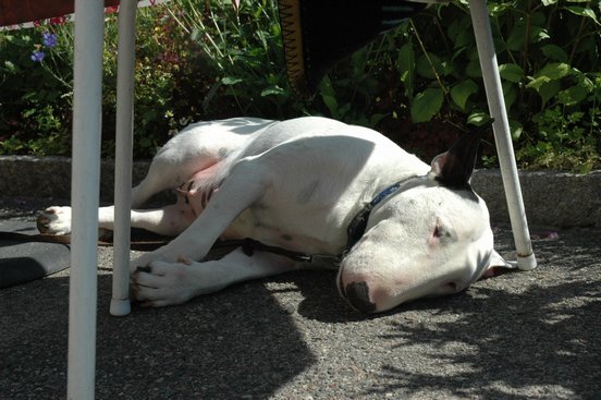 552_Sovande%20Pia.jpg, 53.02 kb, 552 x 367