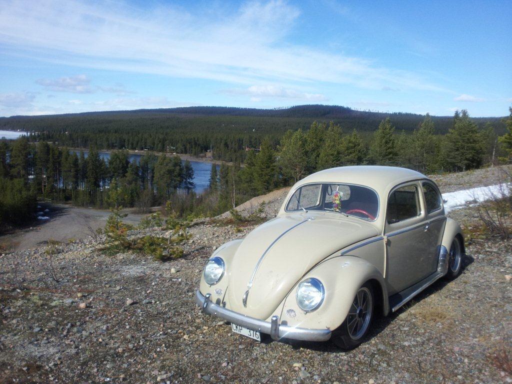 20120520_153358.jpg, 143.77 kb, 1024 x 768